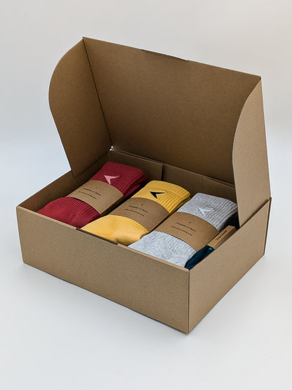 Principles of Sport socks boxset (10 pairs)