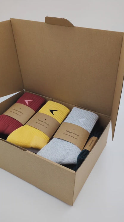 Principles of Sport socks boxset (10 pairs)